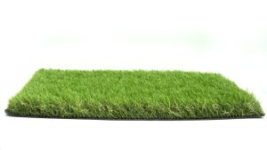 Artificial Grass Samples