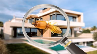 pre purchase inspection brisbane