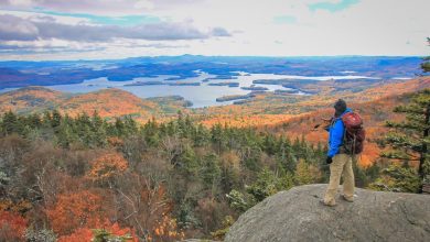 Indian travel agencies in USA