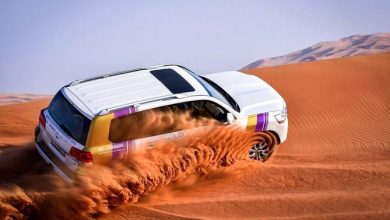 Desert Safari