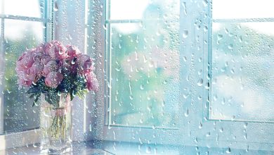 Events on a Rainy Day