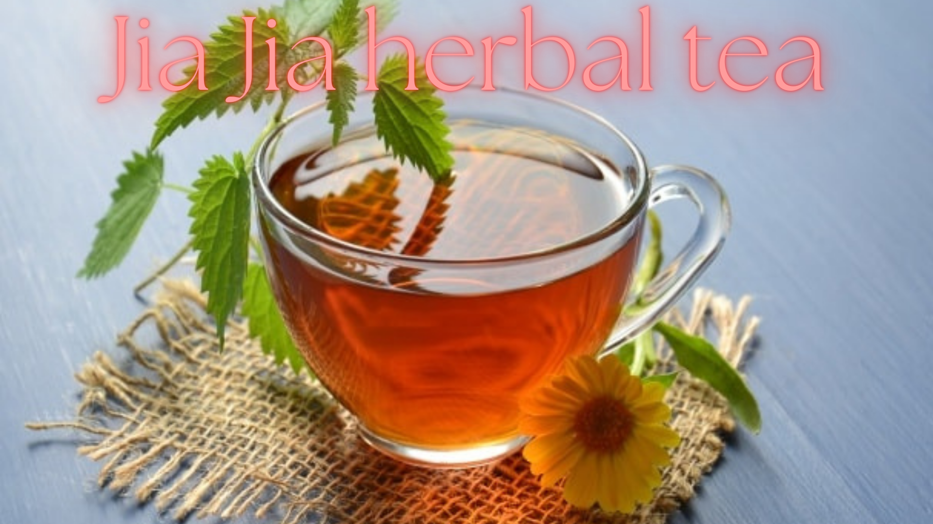 jia jia herbal tea