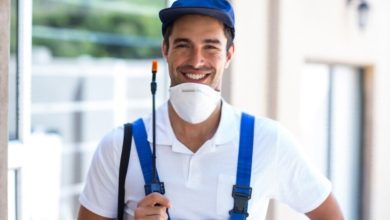 pest control in london ontario