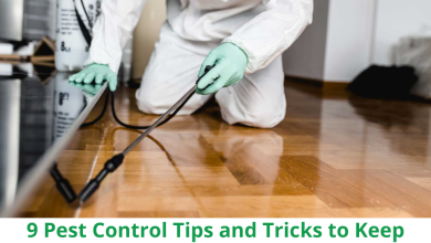 pest control in Mumbai