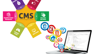 what is cms web development