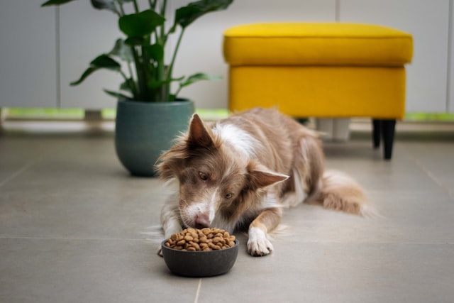 Good food manners