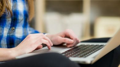 The Beginner's Guide to Writing and order an essay