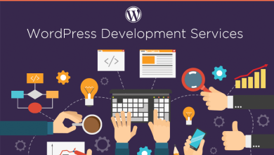 WordPress web development