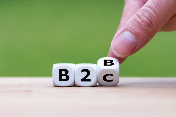 B2B Website