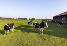 British Farming