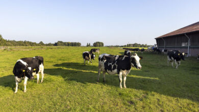 British Farming