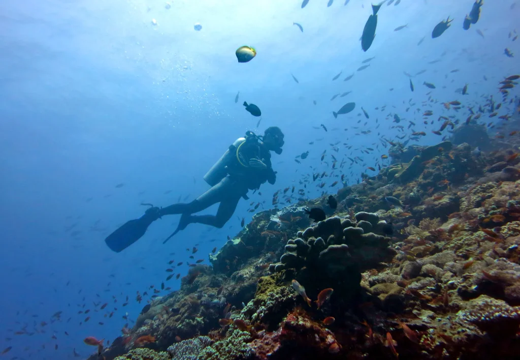 Underwater Diving