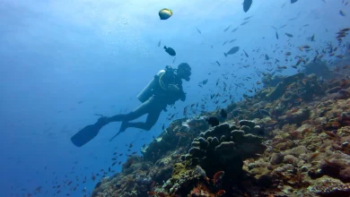 Underwater Diving