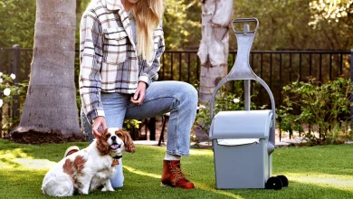 Dog Poop