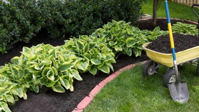 Mulch