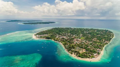 Bali Tour